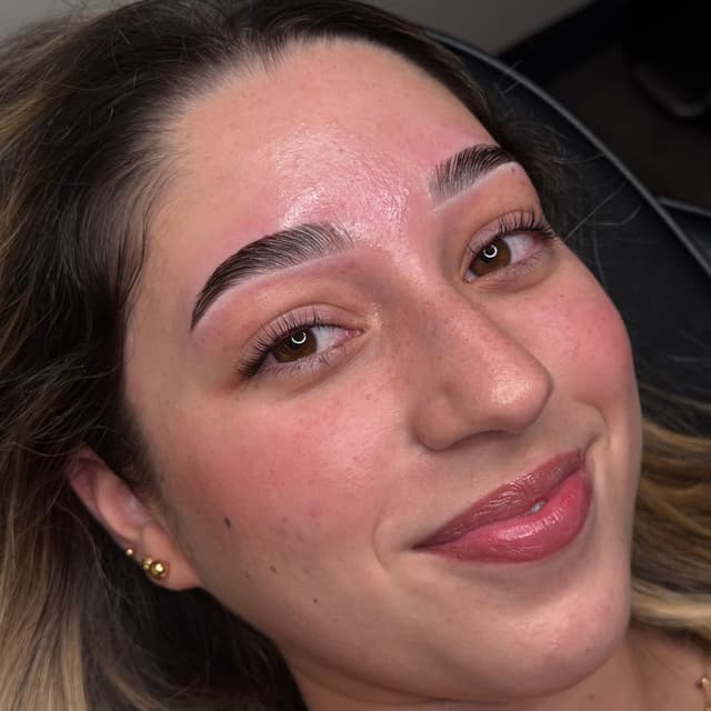 Lamination + Shape (3 Pack) at BROWHAUS Ink & Beauty in Tampa, FL